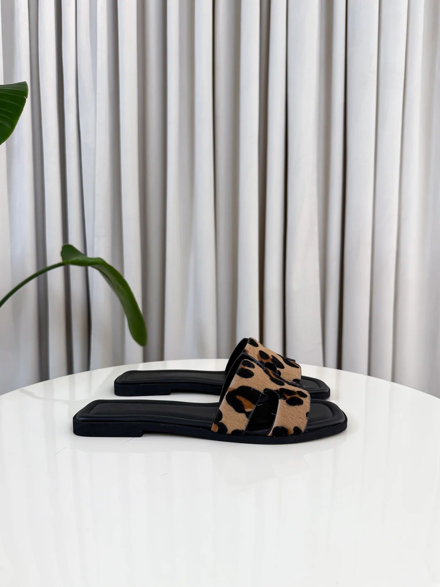 ARIS | Exclusive Limited Edition